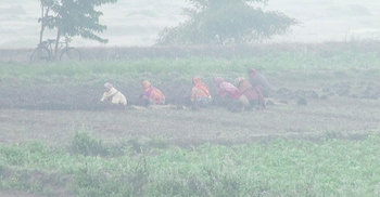 পঞ্চগড়ে সর্বনিম্ন তাপমাত্রার রেকর্ড