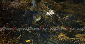 বীরগঞ্জে পুড়েছে ১৪ ঘর, ৭ গবাদি পশু