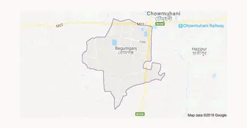 Two found dead in Noakhali