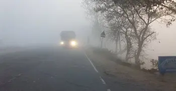 3 killed in Chandpur road crash due to fog