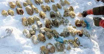 Bag containing 54 severed human hands found in Siberia