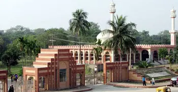 Jahangirnagar University Day celebrated