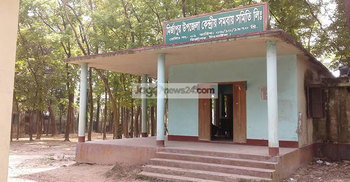 শোক দিবস : পতাকা অর্ধনমিত রাখা হয়নি মির্জাপুরের অধিকাংশ অফিসে