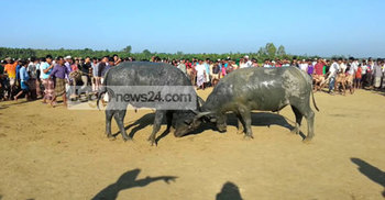 লড়াই ঠেকাতে গিয়ে প্রাণ গেল রাখালের