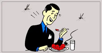 Mosquitoes in Dhaka make life miserable