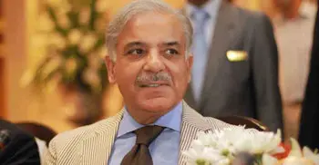 Shehbaz Sharif elected as PML-N’s interim president