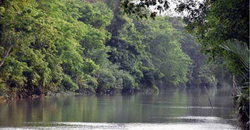 সুন্দরবনে মুক্তিপণের দাবিতে ৮ জেলে অপহরণ