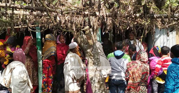 সৌদিতে নিহত দুই শ্রমিকের বাড়ি টাঙ্গাইলে