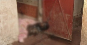 ঠাকুরগাঁওয়ে মাদরাসাছাত্রের দগ্ধ মরদেহ উদ্ধার, আটক ৮