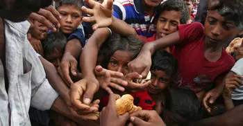 Donor agencies’ interest in feeding Rohingyas decreasing: WFP ED