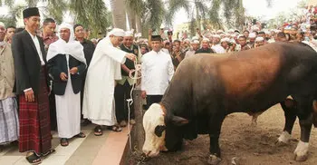 6 things you probably didn’t know about Qurbani