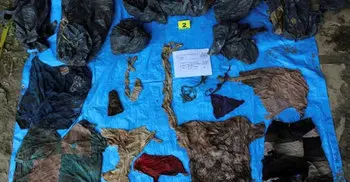 Mass graves with at least 166 bodies found in eastern Mexico