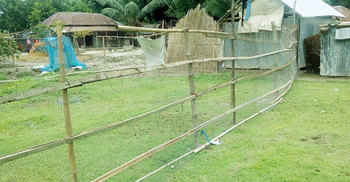 বাদীর বাড়িঘর গুঁড়িয়ে ভিটা দখল করল আসামিরা