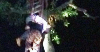 ‘পরীর আছরে’ শ্বশুরবাড়িতে গিয়ে গাছের মাথায় জামাই!