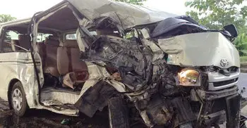 6 killed in cattle-laden truck hits microbus