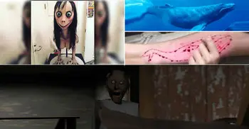 Blue Whale, Momo challenge, Granny banned in Bangladesh