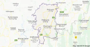 Two children drowned in Habiganj
