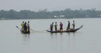 হাকালুকি হাওরে চলছে অবাধে মাছ নিধন