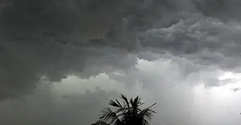 Light to moderate rain likely