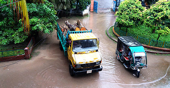 বিনা কারণেই ২০টি গাছ কাটলো ঠিকাদারি প্রতিষ্ঠান