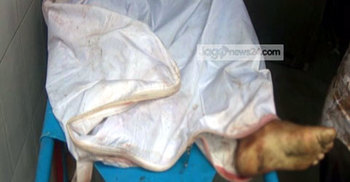 সিরাজগঞ্জে যুবকের ধর-মাথা বিচ্ছিন্ন মরদেহ উদ্ধার