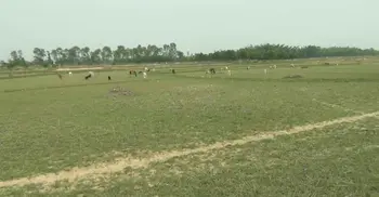 এক ফোঁটা বৃষ্টির জন্য হাহাকার