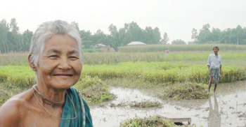 বাদামে দিশেহারা পঞ্চগড়ের চাষিরা