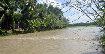 জোয়ারের পানিতে গলাচিপার ৬ গ্রাম প্লাবিত