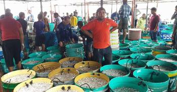 কাপ্তাই হ্রদে ফিরেছে প্রাণচাঞ্চল্য