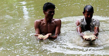 ভিজিএফের ২৬শ’ কেজি চাল পুকুরে ফেলে দিলেন ব্যবসায়ী