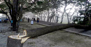 যাত্রীদের সবকিছু নিয়ে গেল ডাকাতরা, ওসি বলছে জানি না