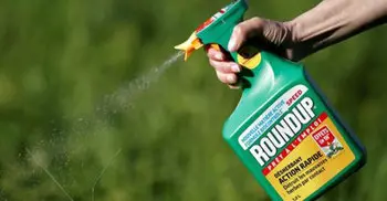Monsanto told to pay $289m in cancer trial