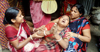 পাবনায় গাছচাপায় প্রাণ গেল দুই স্কুলছাত্রের