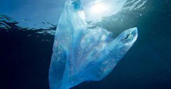 New Zealand to ban single-use plastic bags