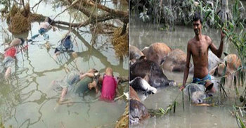 আজ সেই ভয়াল ২৯ এপ্রিল