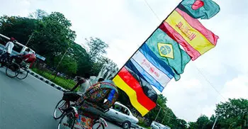Writ seeks ban on hoisting foreign flags