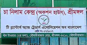 চালু হচ্ছে মৌলভীবাজারের চা নিলাম কেন্দ্র