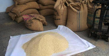 বাউফলে ১০ টাকা কেজির চাল বিক্রিতে অনিয়ম