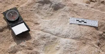85,000-year-old human footprints found in Saudi