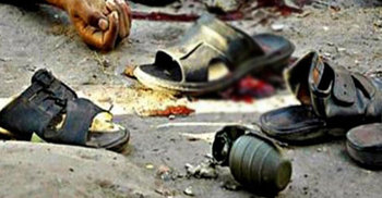 গ্রেনেড হামলা : সাবেক আইজিপি শহুদুল হকের পক্ষে যুক্তি