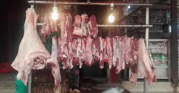 DSCC sets beef price at Tk 450 per kg for Ramadan