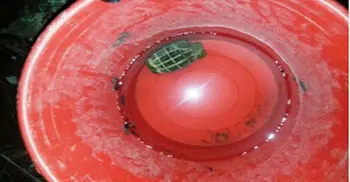 54-year-old grenade found in Sylhet pond