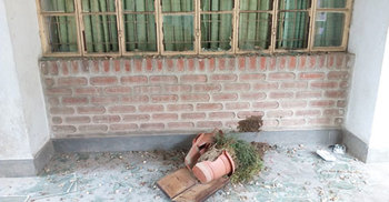 হাবিপ্রবির ডিনের কার্যালয় ভাঙচুর