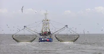 Ban on fishing in sea to continue till July 23