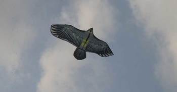 ঘুড়ি উড়িয়ে বর্ষবরণ উদযাপন