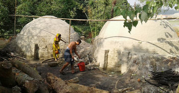 মির্জাপুরের বনাঞ্চলে ৩২ কয়লার কারখানা
