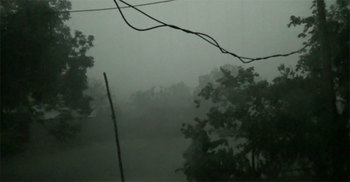 কালবৈশাখী ঝড়ে আম-লিচু ও বোরো ধানের ব্যাপক ক্ষতি