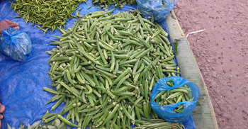 ঢেঁড়সের কেজি ৩ টাকা