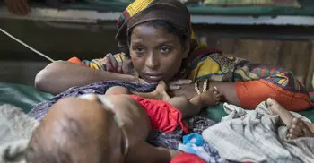60 babies a day born in Rohingya camps in Bangladesh: UN