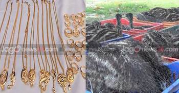 সাতক্ষীরায় স্বর্ণের গহনাসহ ৭৫টি উটপাখির বাচ্চা জব্দ